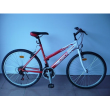 26 &quot;Stahlrahmen Mountainbike (CZ2604)